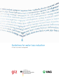 guidelines for water loss reduction